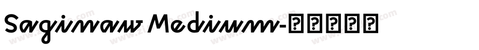 Saginaw Medium字体转换